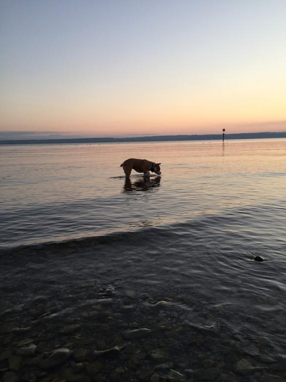 Strandhaus Hagnau Ξενοδοχείο Εξωτερικό φωτογραφία
